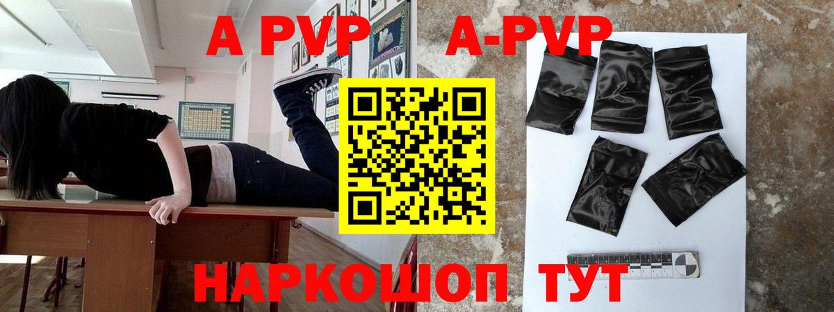 Alfa_PVP СК Нижнекамск