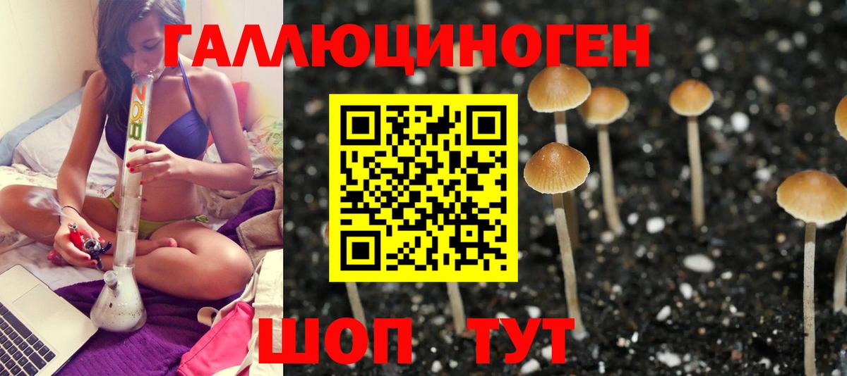 Нижнекамск  Псилоцибиновые грибы MAGIC MUSHROOMS  закладка  Вход с VPN 